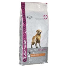 Products for dogs