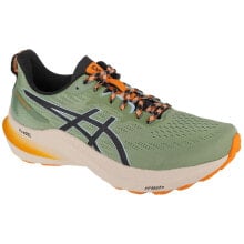 Asics Gt-2000