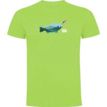 Men's sports T-shirts and T-shirts