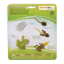 SAFARI LTD Life Cycle Of A Frog Figure