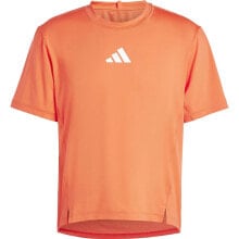 Men's sports T-shirts and T-shirts