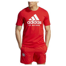 ADIDAS FC Bayern Munich 23/24 Dna Short Sleeve T-Shirt