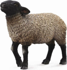 Figurine Collecta Sheep Suffolk (004-88636)