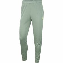 Adult Trousers Jordan Jumpman Flight Nike Unisex Aquamarine