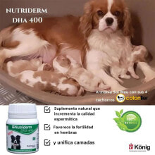 Купить товары для собак Konig: KONIG Nutriderm DHA 400mg Dog Supplement 30 Units