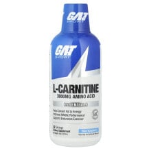 L-Carnitine, Amino Acid, Mixed Berry, 3,000 mg, 16 oz (473 ml)