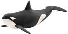 Figurka Schleich Orka oceaniczna (GXP-622490)