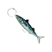 Baits and jigs for fishing