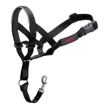 Купить лодки и комплектующие Company of Animals: COMPANY OF ANIMALS Halti Training Collar