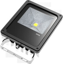 Прожекторы Synergy 21 S21-LED-TOM00835 прожектор 10 W Черный, Серебристый A+