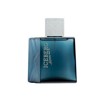 Iceberg Homme 100 ml eau de toilette für Herren