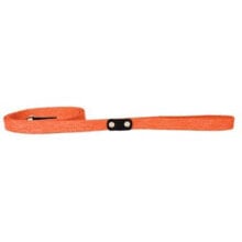 COLLAR PET Leash