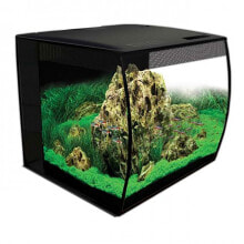 Products for fish and reptiles