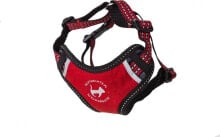 All For Dogs ALL FOR CATS SPORTS BRACES ARE RED