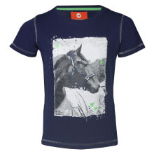 Men's sports T-shirts and T-shirts