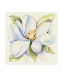 Trademark Global kathleen Parr Mckenna Magnolia in White Canvas Art - 20