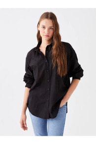 Women's Shirts