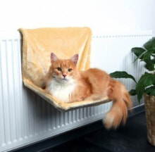 Sun beds, cabins and sleeping places for cats