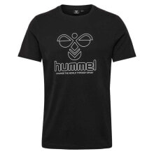 Men's sports T-shirts and T-shirts