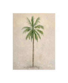 Trademark Global debra Lake Palm Tree 1 Canvas Art - 27