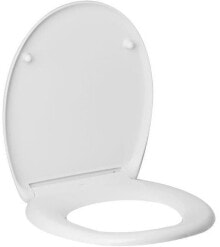 Toilet seats and bidets