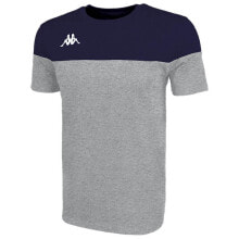 Мужские спортивные футболки Мужская спортивная футболка серая с логотипом KAPPA Siano
