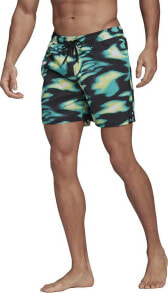 Swimming trunks and shorts