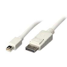 LINDY Mini DisplayPort To DisplayPort Cable 2 m