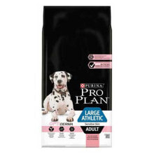 Products for dogs