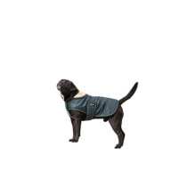 Купить одежда и обувь для собак DIEGO & LOUNA: DIEGO & LOUNA Teddy Polar Dog Jacket