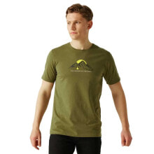 Men's sports T-shirts and T-shirts