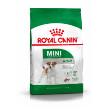 Fodder Royal Canin Mini Adult Adult Chicken 2 Kg