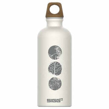 Спортивные бутылки для воды sIGG Traveller MyPlanet Forward 600ml Bottle