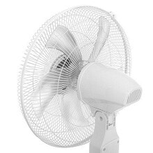 Household fans