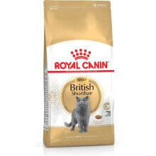 ROYAL CANIN British shorthair adult cat food 400g