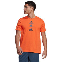 Men's sports T-shirts and T-shirts