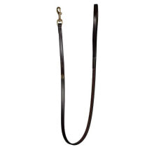 DYON Classic Leash