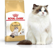 Сухие корма для кошек Сухой корм для кошек Royal Canin, для взрослых кошек рэгдолл