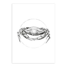 Wandbild Crab