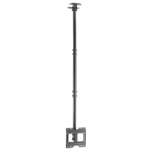 AISENS CT43TSE-053 23-43´´ Ceiling TV Mount 50kg