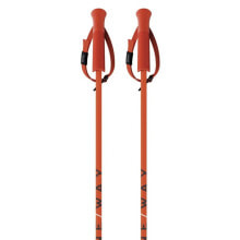 Nordic walking sticks and trekking poles