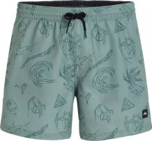 Swimming trunks and shorts