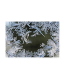 Trademark Global kurt Shaffer Crystal Window 4 Canvas Art - 20