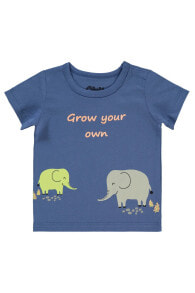 Children's T-shirts and T-shirts for boys