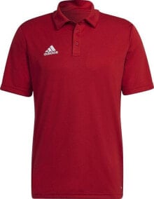 Men's sports T-shirts and T-shirts