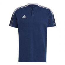 Мужские спортивные футболки мужская футболка спортивная синяя с пуговицами  adidas Tiro 21 Polo M GH4462