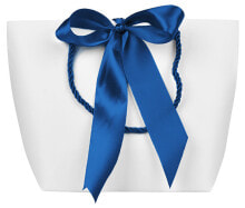Gift bag with blue ribbon