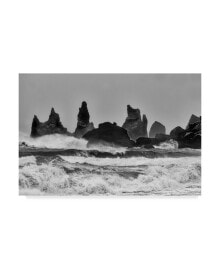 Trademark Global alfred Forns Stormy Beach Canvas Art - 37