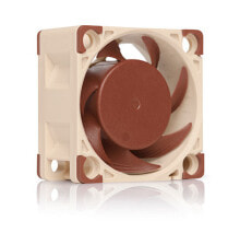  Noctua