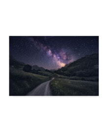 Trademark Global carlos F Turienzo Path to the Stars Canvas Art - 20